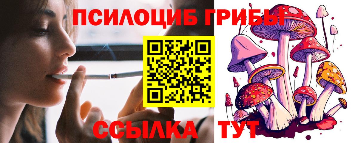 Десногорск  сколько стоит  Вход с VPN  Псилоцибиновые грибы Magic Shrooms  Псилоцибиновые грибы Psilocybine cubensis 